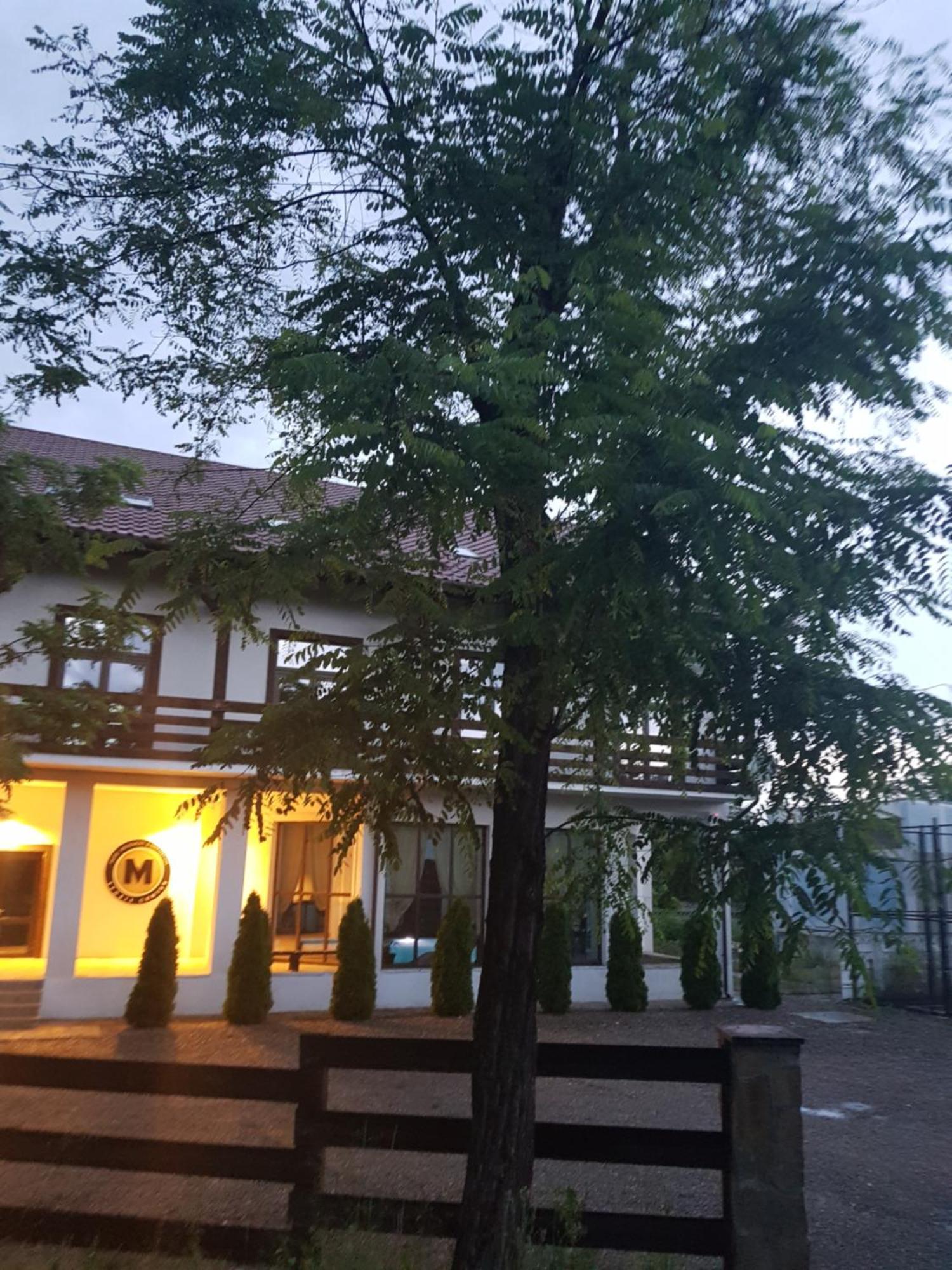 Pension Casa Drumetului Piatra Neamt Bagian luar foto